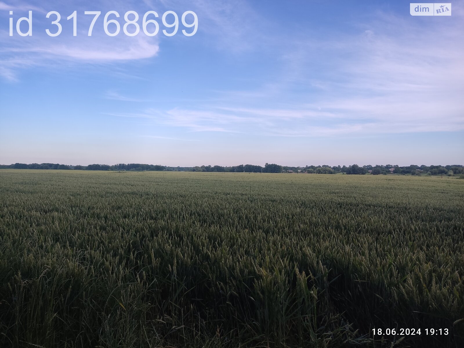 Земельна ділянка під житлову забудову в Гавришівці, площа 15 соток фото 1 Земельна ділянка під житлову забудову в Гавришівці, площа 15 соток фото 1