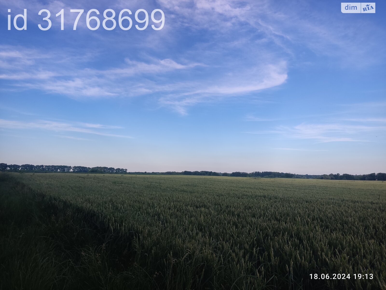 Земельна ділянка під житлову забудову в Гавришівці, площа 15 соток фото 1 Земельна ділянка під житлову забудову в Гавришівці, площа 15 соток фото 1