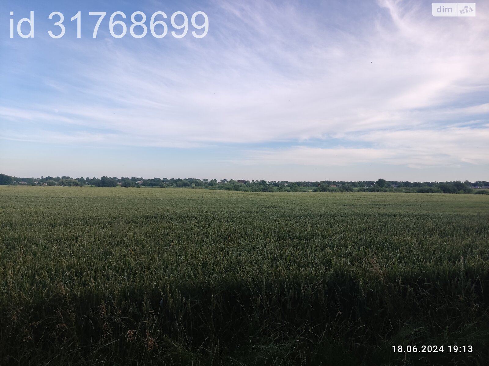 Земельна ділянка під житлову забудову в Гавришівці, площа 15 соток фото 1 Земельна ділянка під житлову забудову в Гавришівці, площа 15 соток фото 1