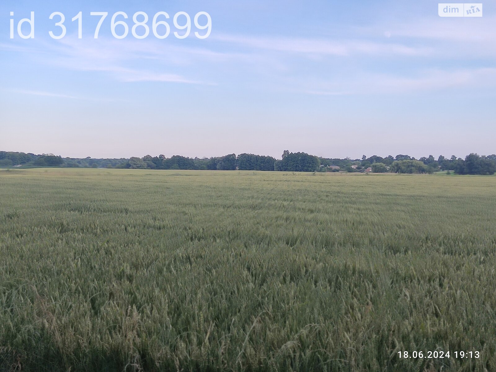 Земельна ділянка під житлову забудову в Гавришівці, площа 15 соток фото 1 Земельна ділянка під житлову забудову в Гавришівці, площа 15 соток фото 1
