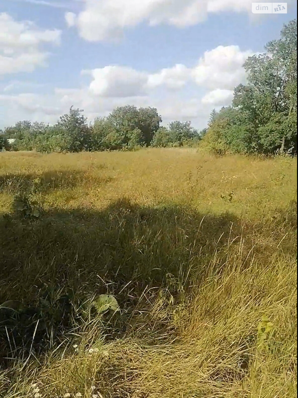 Земельна ділянка під житлову забудову в Гавришівці, площа 35 соток фото 1 Земельна ділянка під житлову забудову в Гавришівці, площа 35 соток фото 1