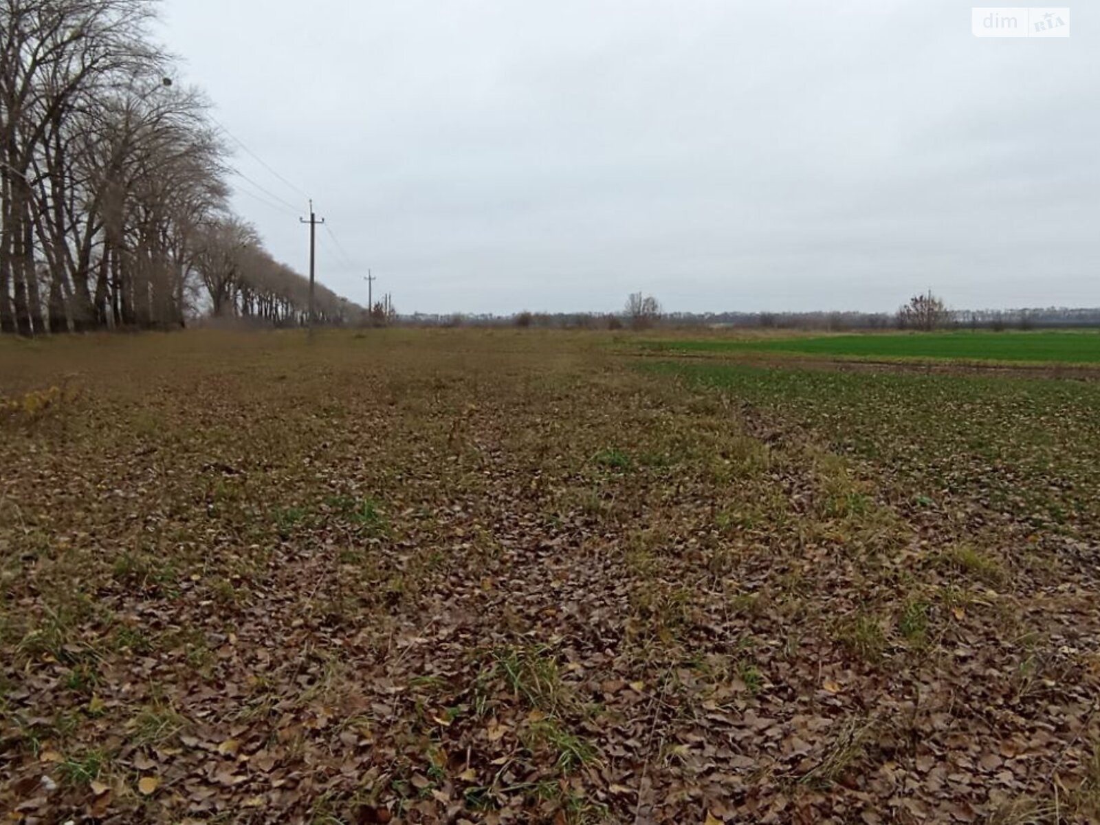 Земельный участок под жилую застройку в Гавришовке, площадь 20 соток фото 1