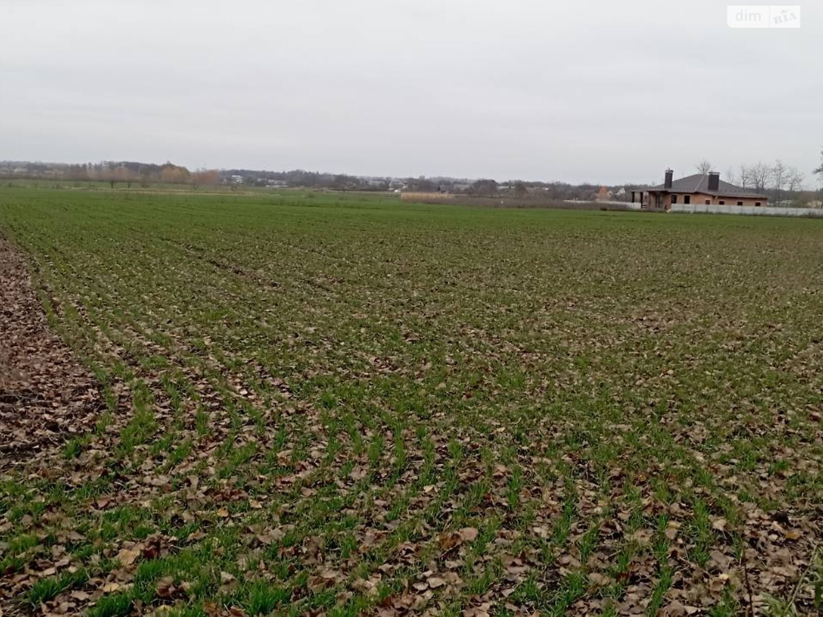 Земельный участок под жилую застройку в Гавришовке, площадь 20 соток фото 1