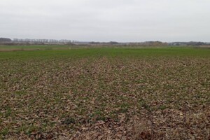 Земельный участок под жилую застройку в Гавришовке, площадь 20 соток фото 2