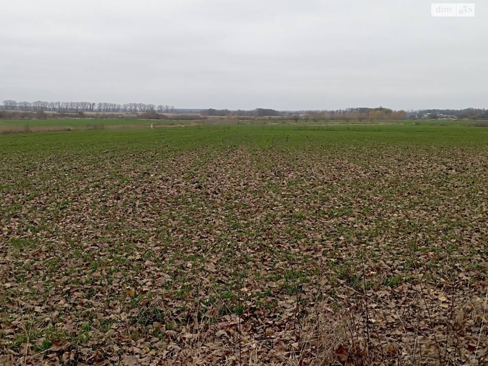 Земельный участок под жилую застройку в Гавришовке, площадь 20 соток фото 1