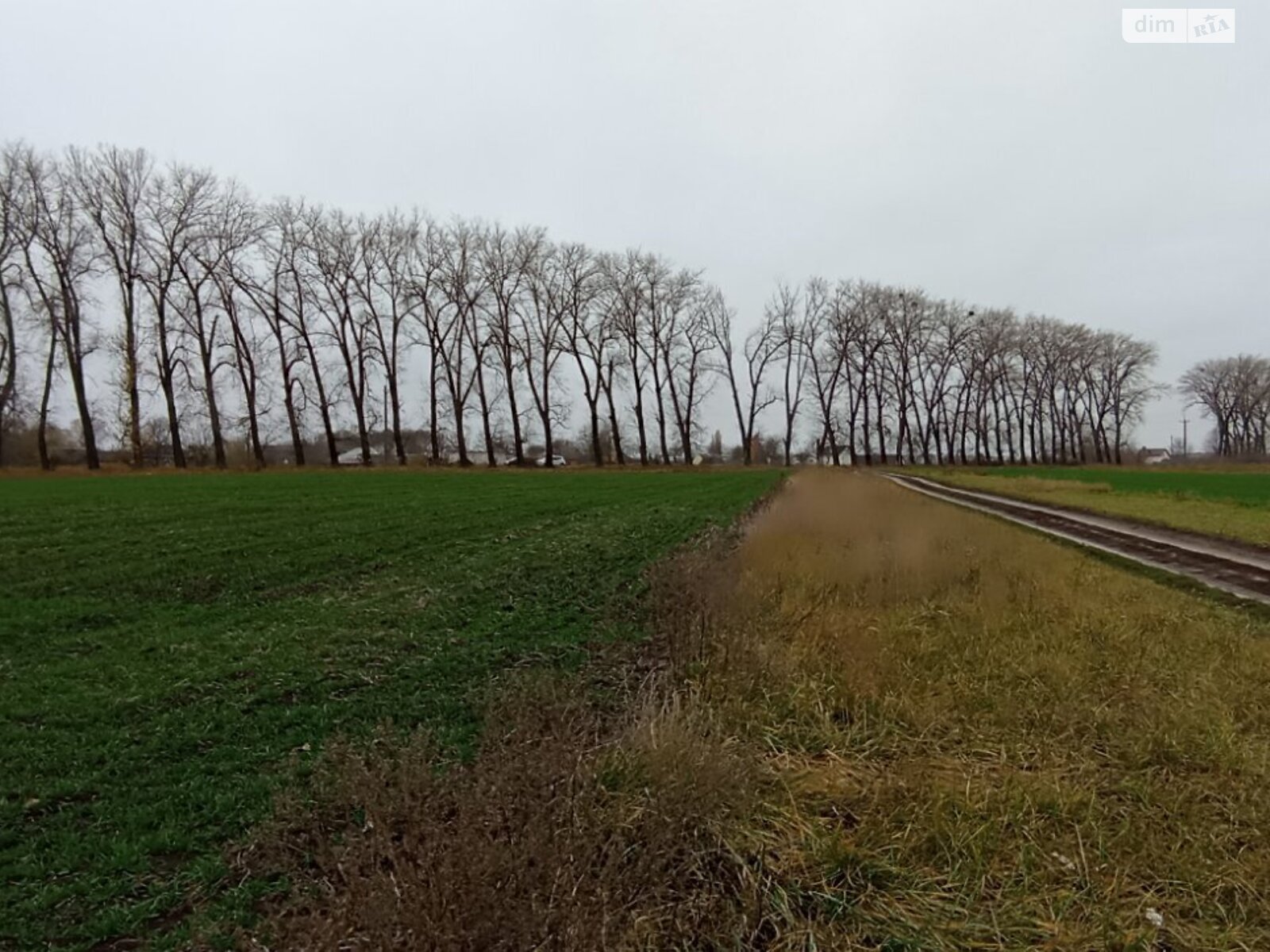 Земельный участок под жилую застройку в Гавришовке, площадь 20 соток фото 1