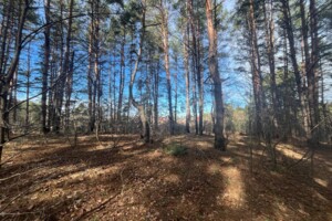 Земельна ділянка під житлову забудову в Глевасі, площа 14 соток фото 2