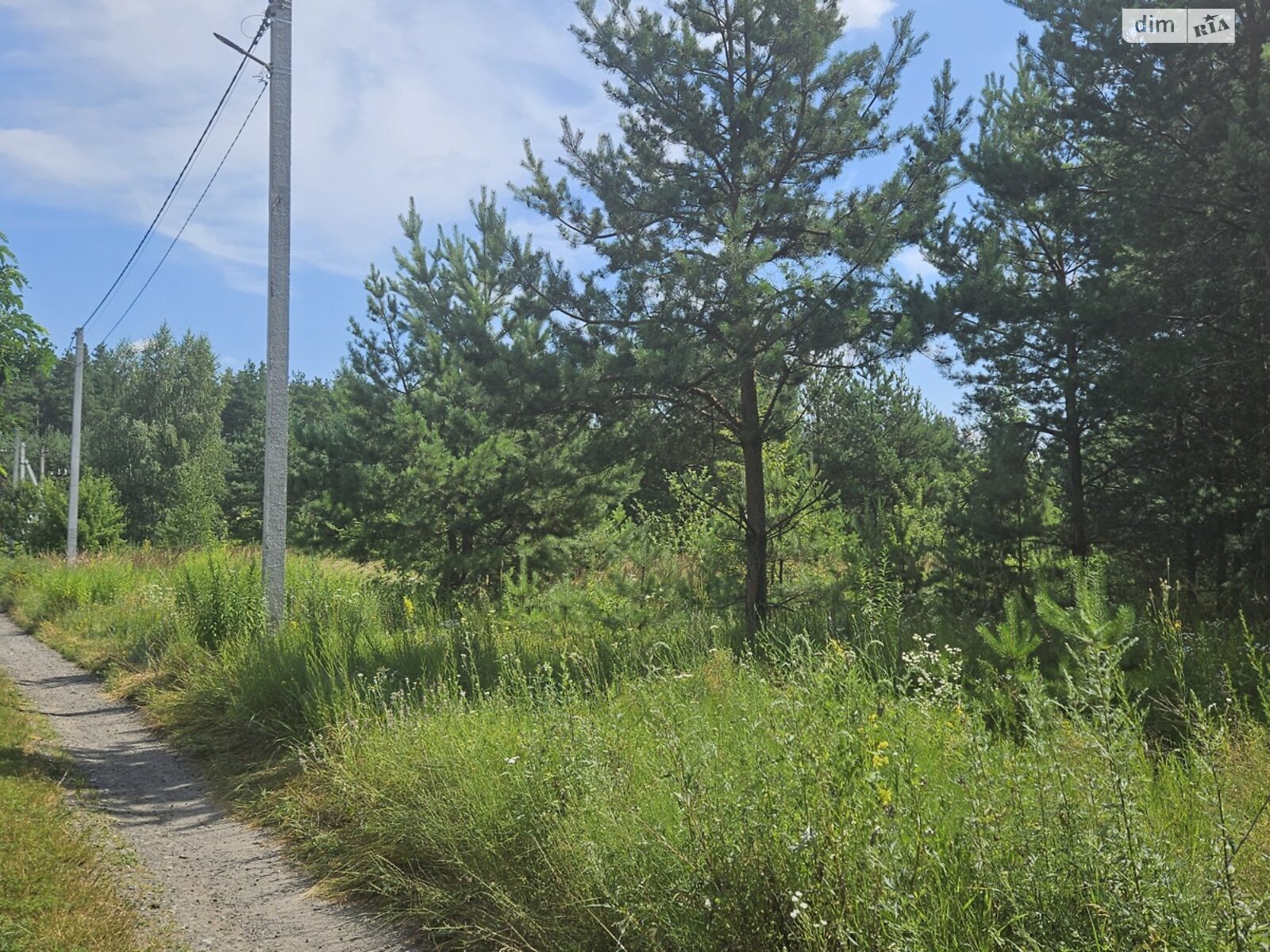 Земельна ділянка під житлову забудову в Глевасі, площа 14.98 сотки фото 1 Земельна ділянка під житлову забудову в Глевасі, площа 14.98 сотки фото 1