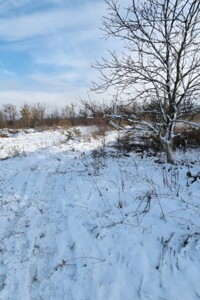 Земельна ділянка під житлову забудову в Глевасі, площа 11.14 сотки фото 2
