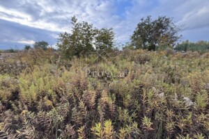 Земельна ділянка під житлову забудову в Глевасі, площа 10.35 сотки фото 2 Земельна ділянка під житлову забудову в Глевасі, площа 10.35 сотки фото 2