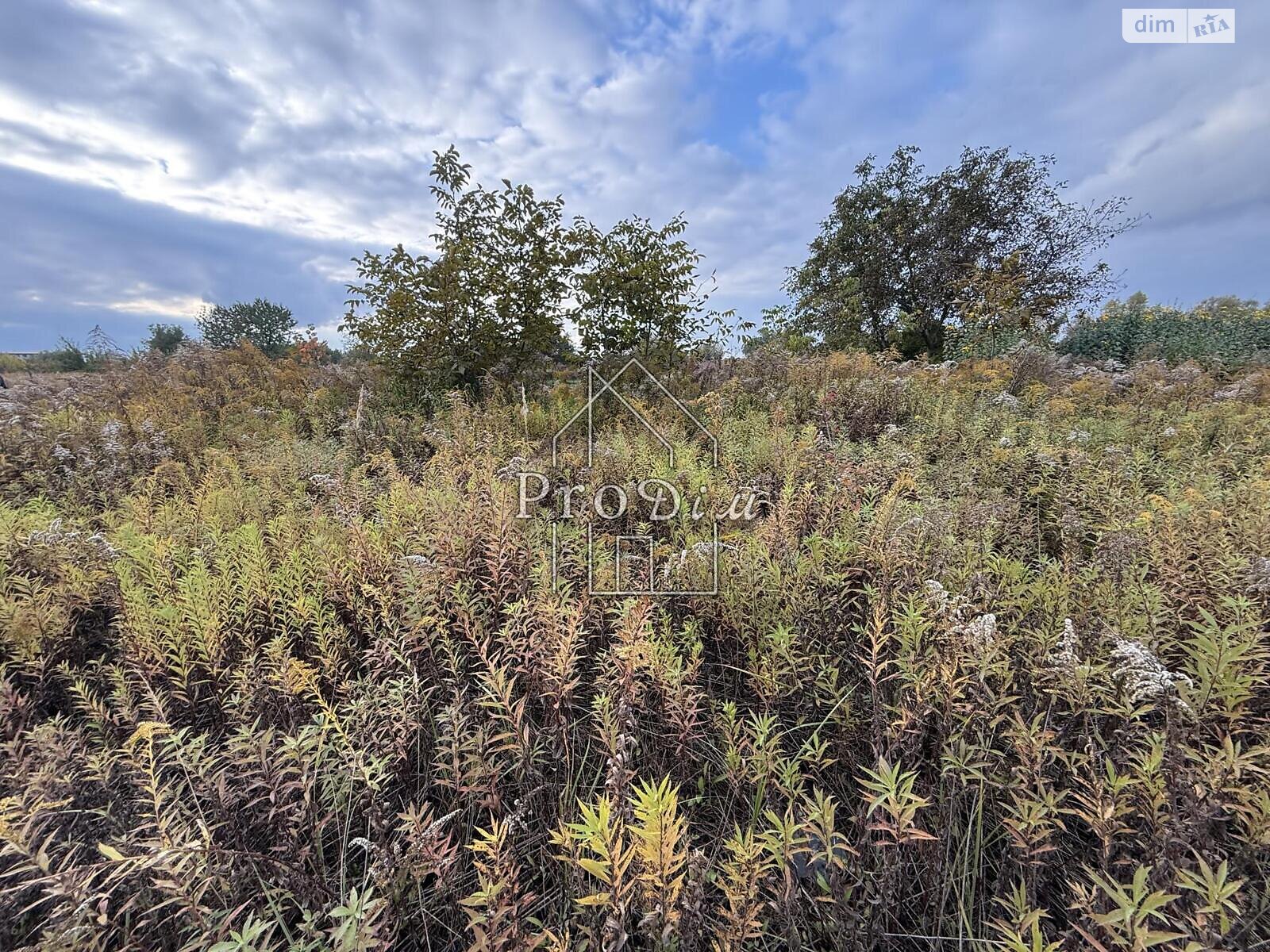 Земельна ділянка під житлову забудову в Глевасі, площа 10.35 сотки фото 1 Земельна ділянка під житлову забудову в Глевасі, площа 10.35 сотки фото 1