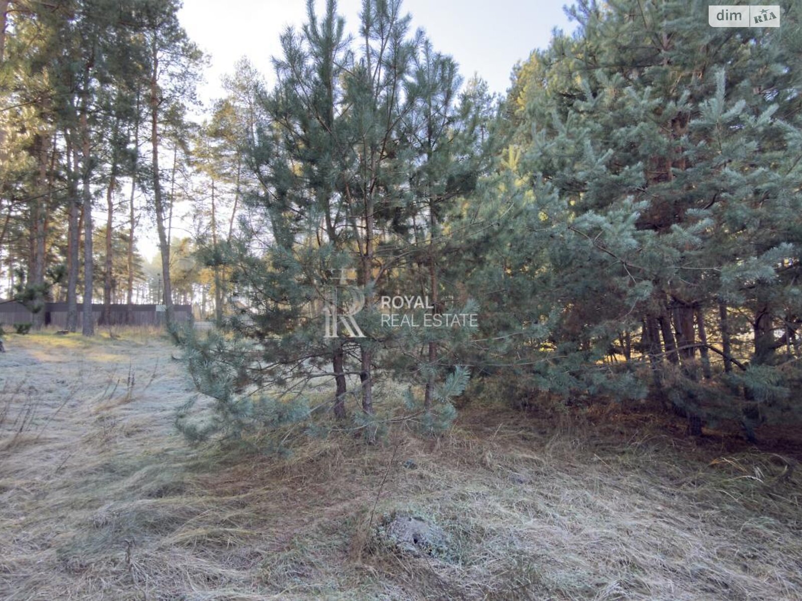 Земельный участок под жилую застройку в Глевахе, площадь 43.7 сотки фото 1