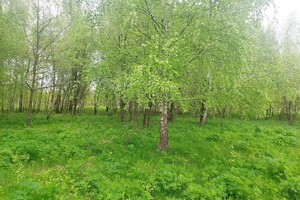 Земельна ділянка під житлову забудову в Глибочиці, площа 18 соток фото 2