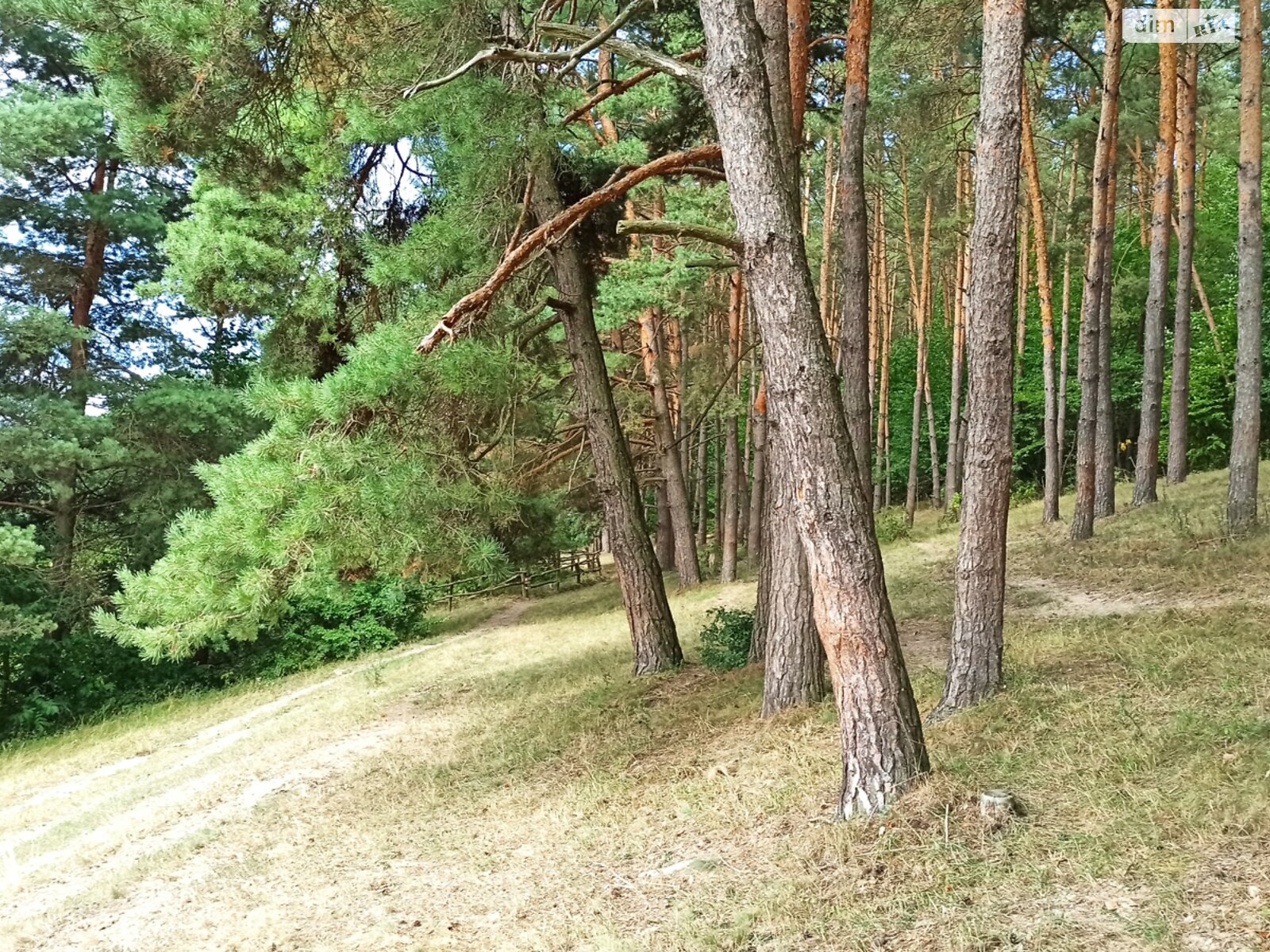 Земля под жилую застройку в Гнивани, район Гнивань, площадь 12 соток фото 1