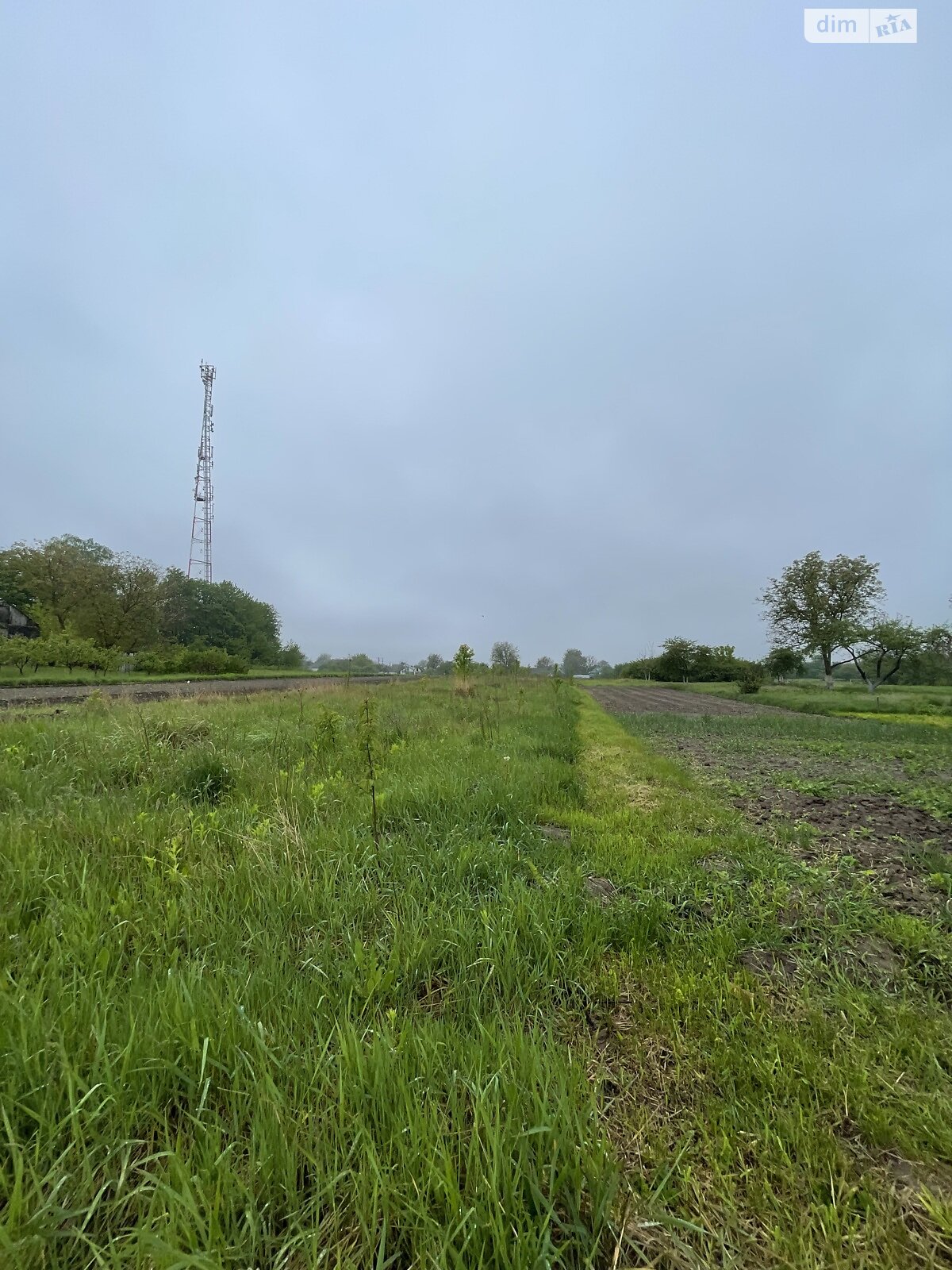 Земельный участок под жилую застройку в Гнивани, площадь 26.59 сотки фото 1 Земельный участок под жилую застройку в Гнивани, площадь 26.59 сотки фото 1