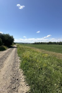 Земельна ділянка під житлову забудову в Годилові, площа 412 соток фото 2