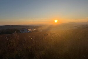 Земельна ділянка під житлову забудову в Годилові, площа 67 соток фото 1