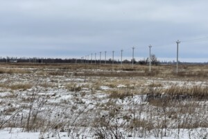 Земельный участок под жилую застройку в Гоголеве, площадь 100 соток фото 2