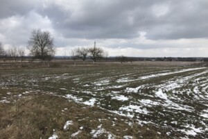 Земельна ділянка під житлову забудову в Гольчі Першій, площа 0.4195 Га фото 2