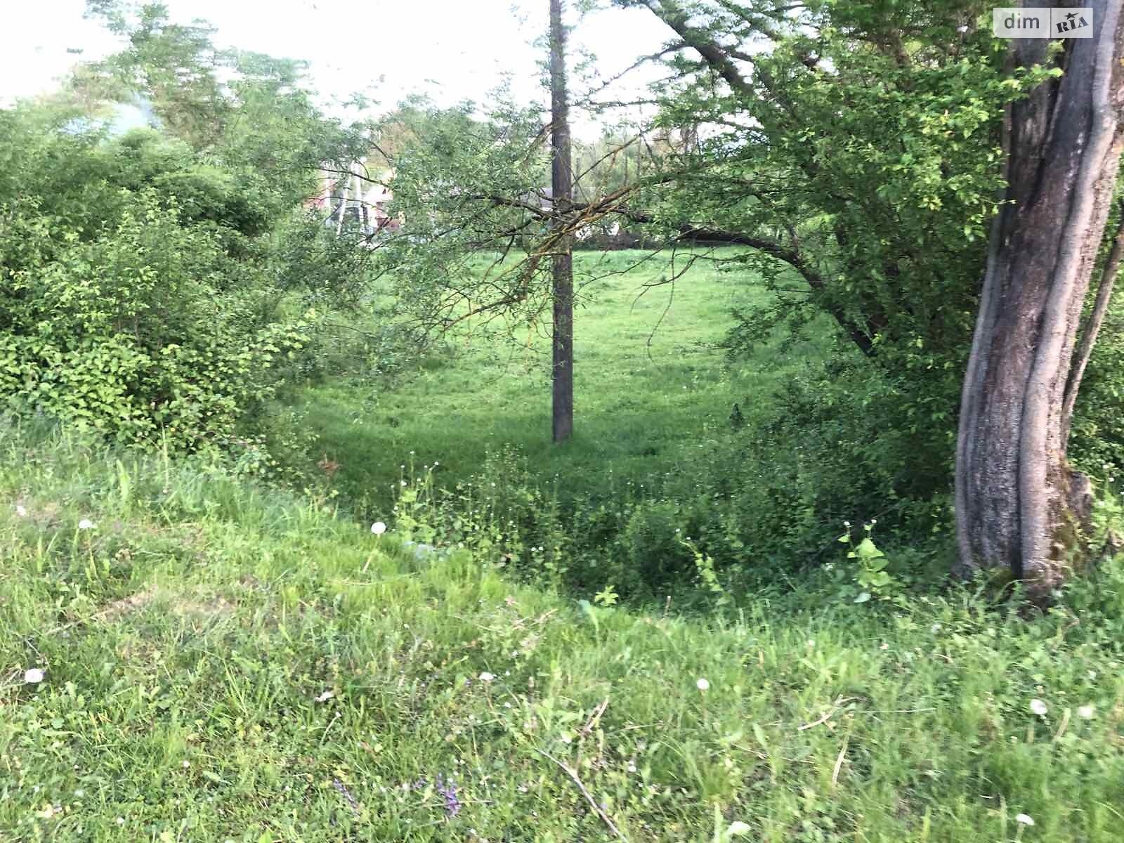 Земельный участок под жилую застройку в Голубином, площадь 33.57 сотки фото 1 Земельный участок под жилую застройку в Голубином, площадь 33.57 сотки фото 1