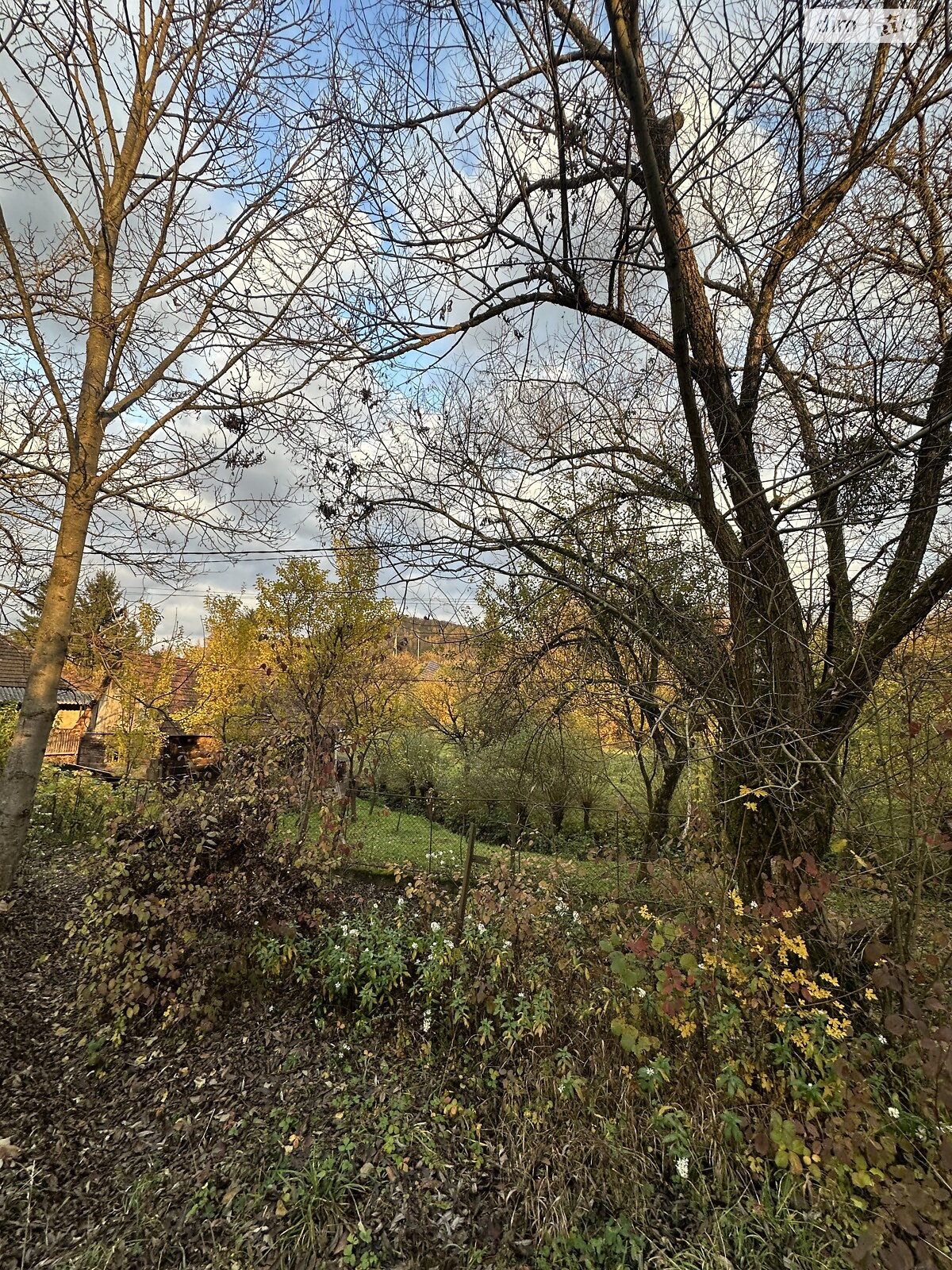 Земельный участок под жилую застройку в Голубином, площадь 33.57 сотки фото 1 Земельный участок под жилую застройку в Голубином, площадь 33.57 сотки фото 1