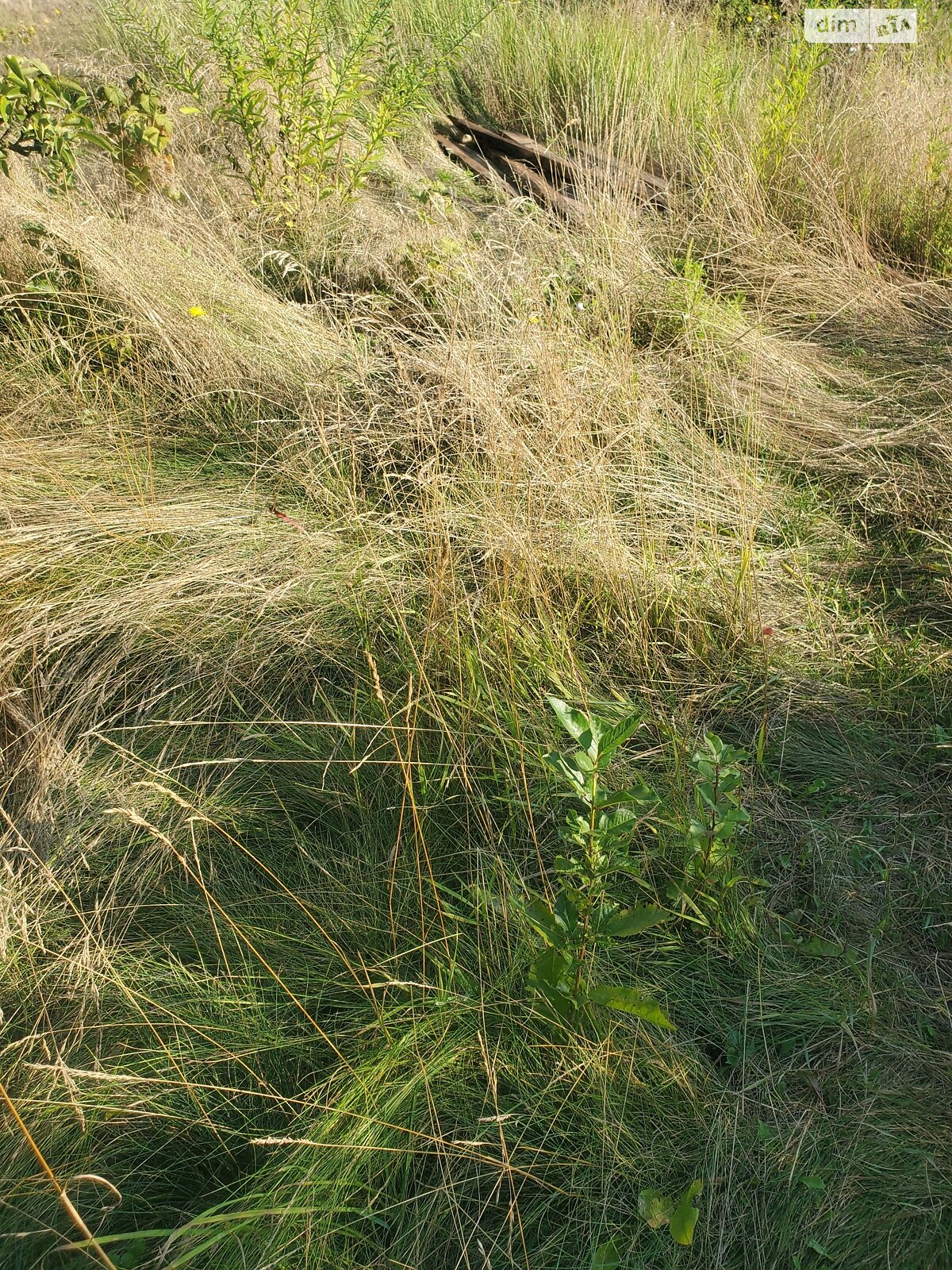 Земельный участок под жилую застройку в Горе, площадь 10 соток фото 1 Земельный участок под жилую застройку в Горе, площадь 10 соток фото 1