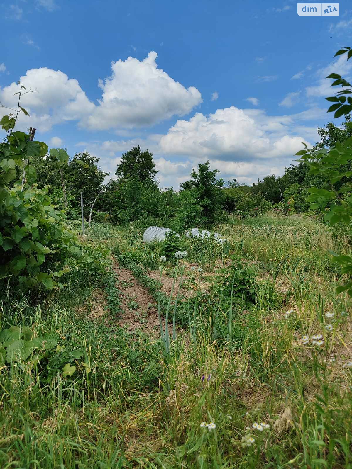 Земельный участок под жилую застройку в Горе, площадь 20 соток фото 1