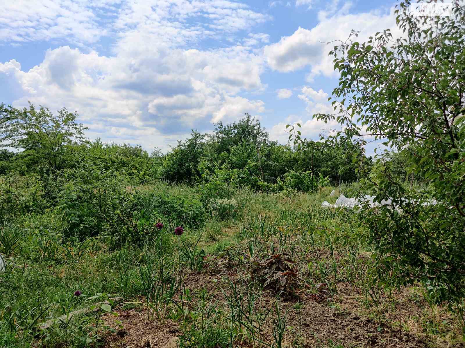 Земельный участок под жилую застройку в Горе, площадь 20 соток фото 1