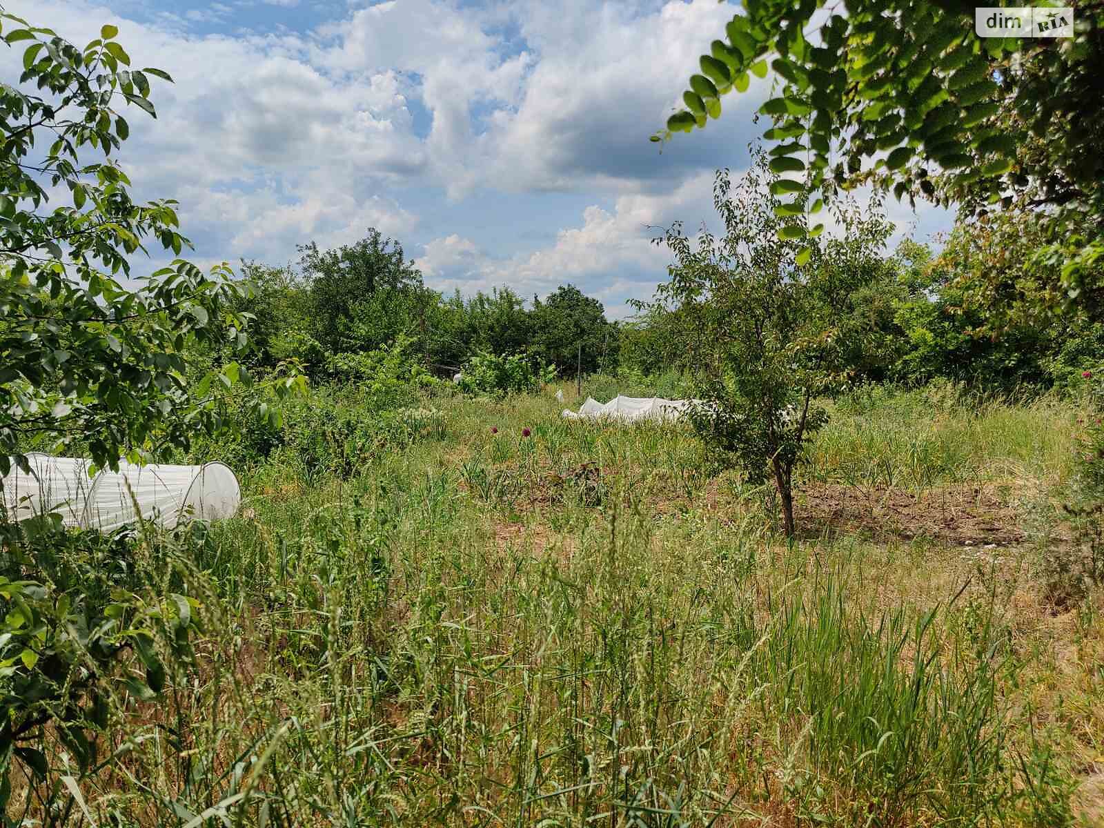 Земельный участок под жилую застройку в Горе, площадь 20 соток фото 1