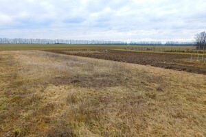 Земельный участок под жилую застройку в Горбановке, площадь 17.5 сотки фото 2