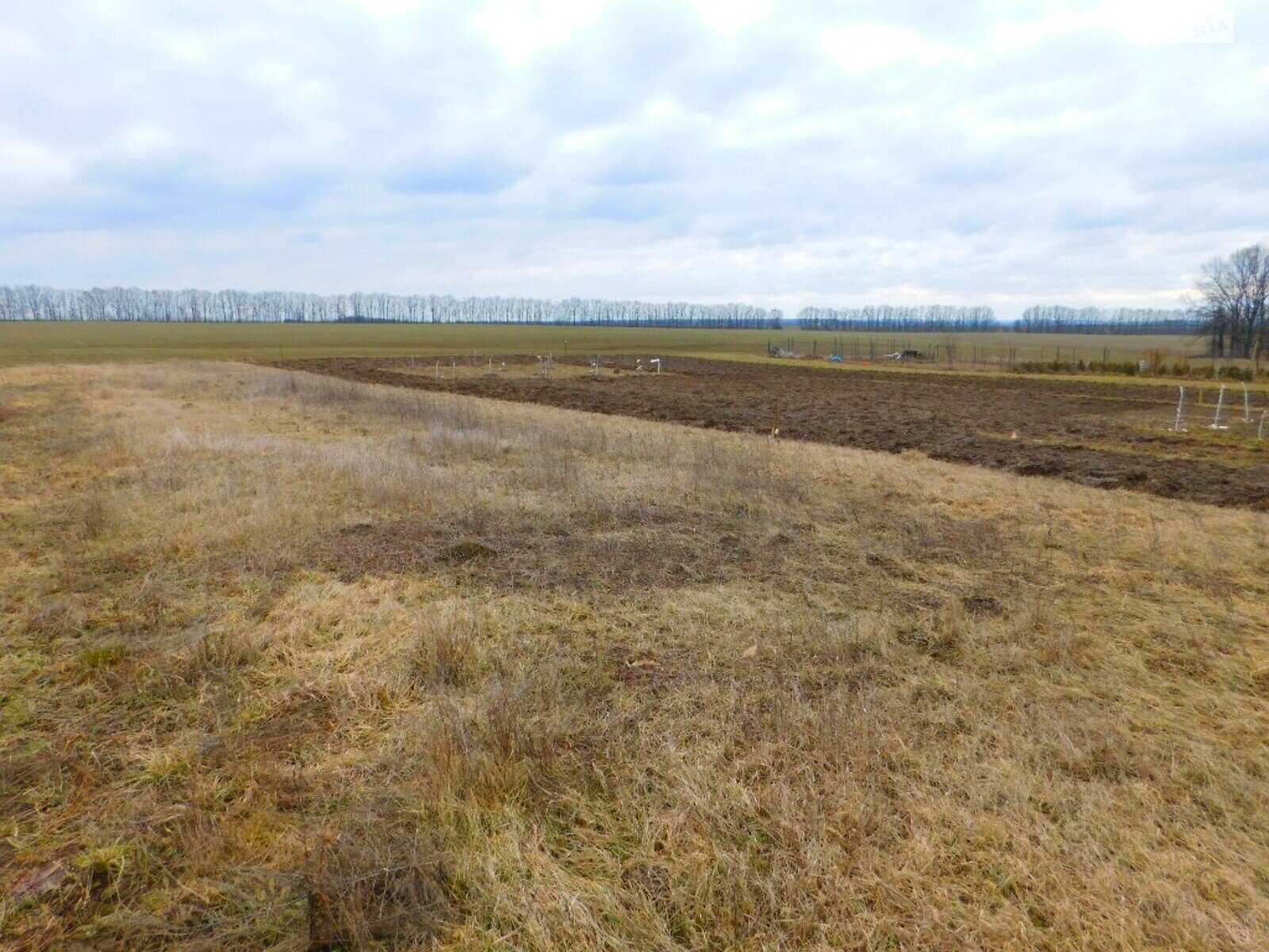 Земельна ділянка під житлову забудову в Горбанівці, площа 17.5 сотки фото 1