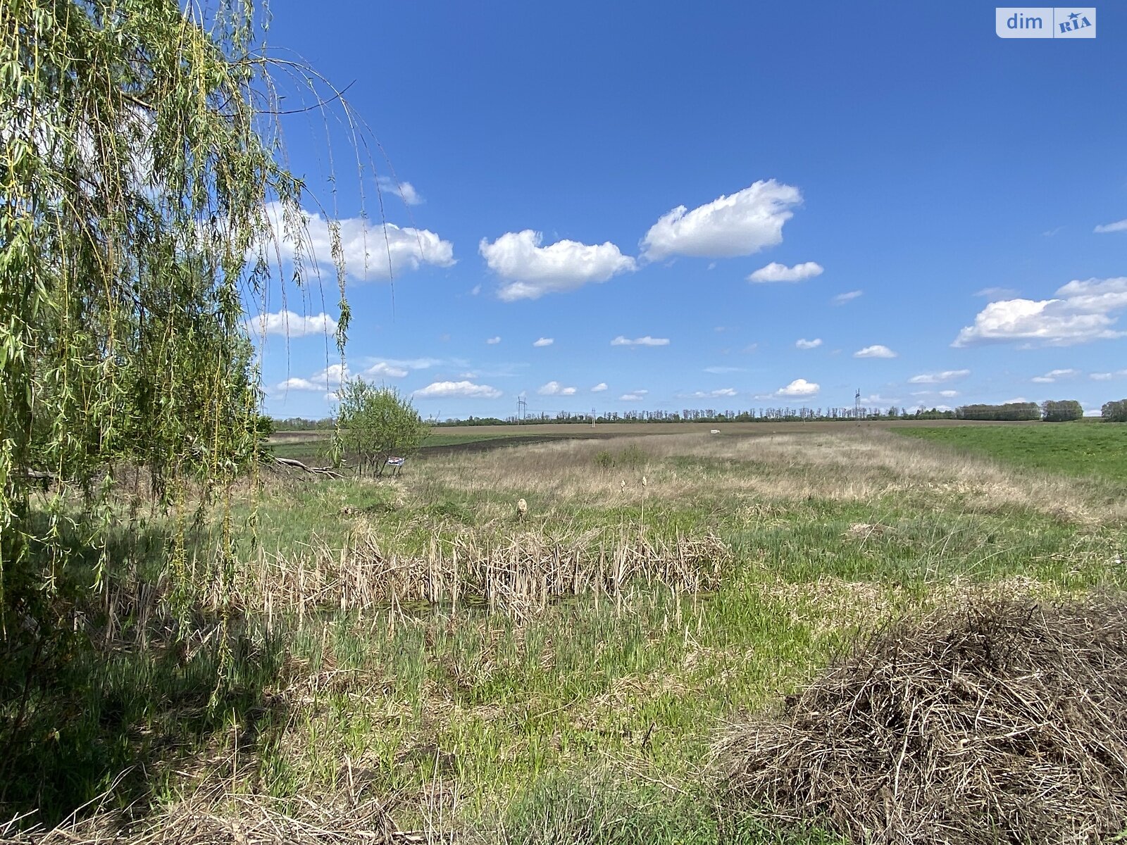 Земельна ділянка під житлову забудову в Горбанівці, площа 25 соток фото 1