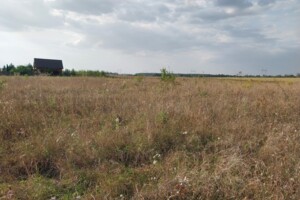 Земельна ділянка під житлову забудову в Горбанівці, площа 25 соток фото 2