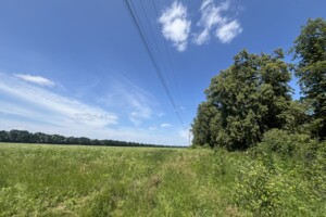 Земельна ділянка під житлову забудову в Горбанівці, площа 5 соток фото 2