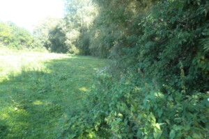 Земельный участок под жилую застройку в Горбасове, площадь 30.36 сотки фото 2 Земельный участок под жилую застройку в Горбасове, площадь 30.36 сотки фото 2