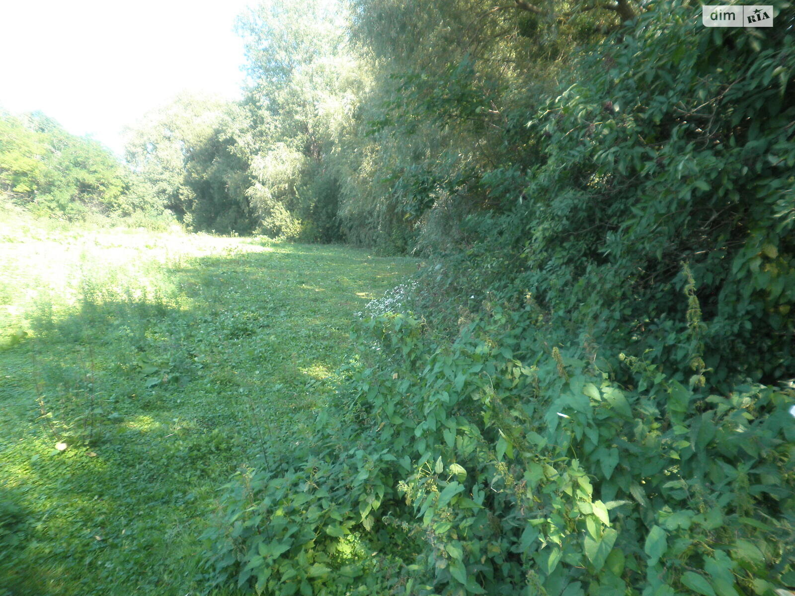 Земельный участок под жилую застройку в Горбасове, площадь 30.36 сотки фото 1 Земельный участок под жилую застройку в Горбасове, площадь 30.36 сотки фото 1