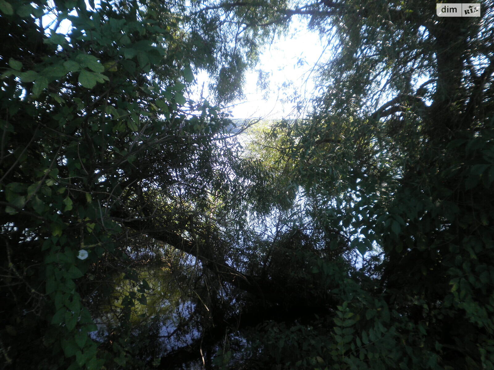 Земельный участок под жилую застройку в Горбасове, площадь 30.36 сотки фото 1 Земельный участок под жилую застройку в Горбасове, площадь 30.36 сотки фото 1