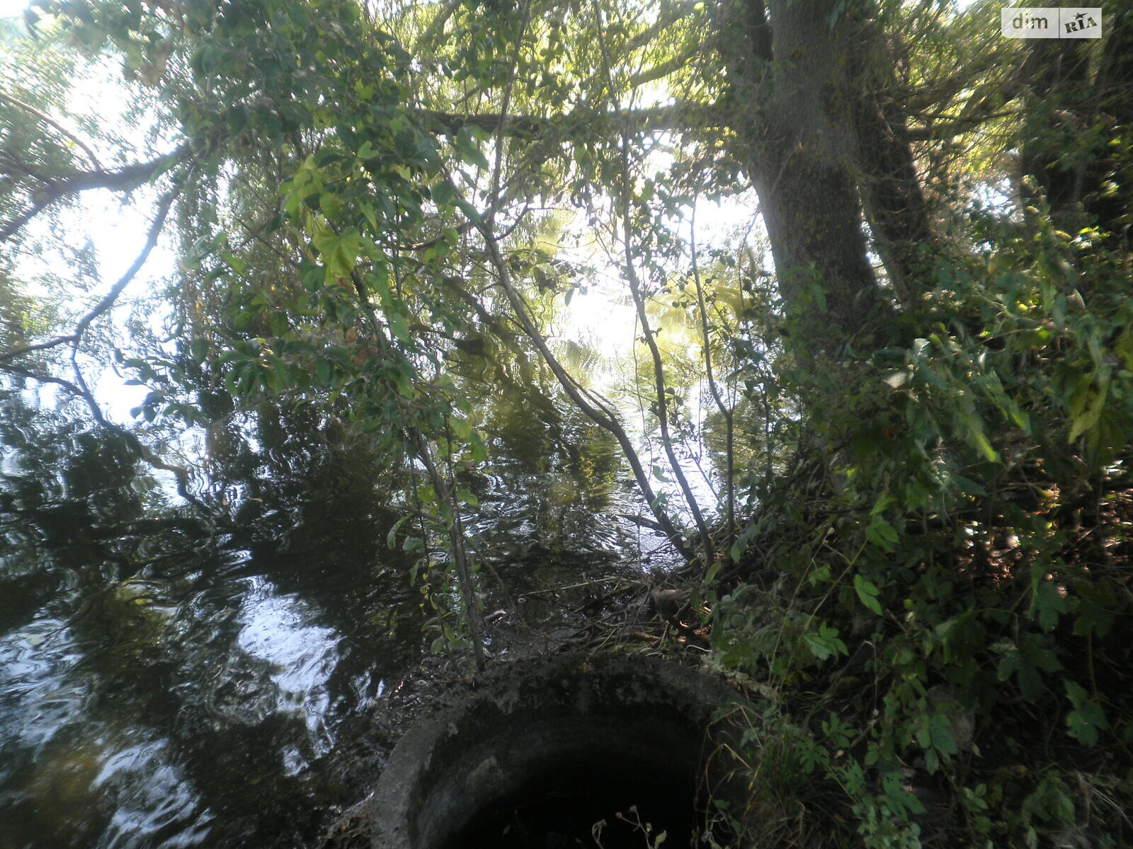 Земельный участок под жилую застройку в Горбасове, площадь 30.36 сотки фото 1 Земельный участок под жилую застройку в Горбасове, площадь 30.36 сотки фото 1