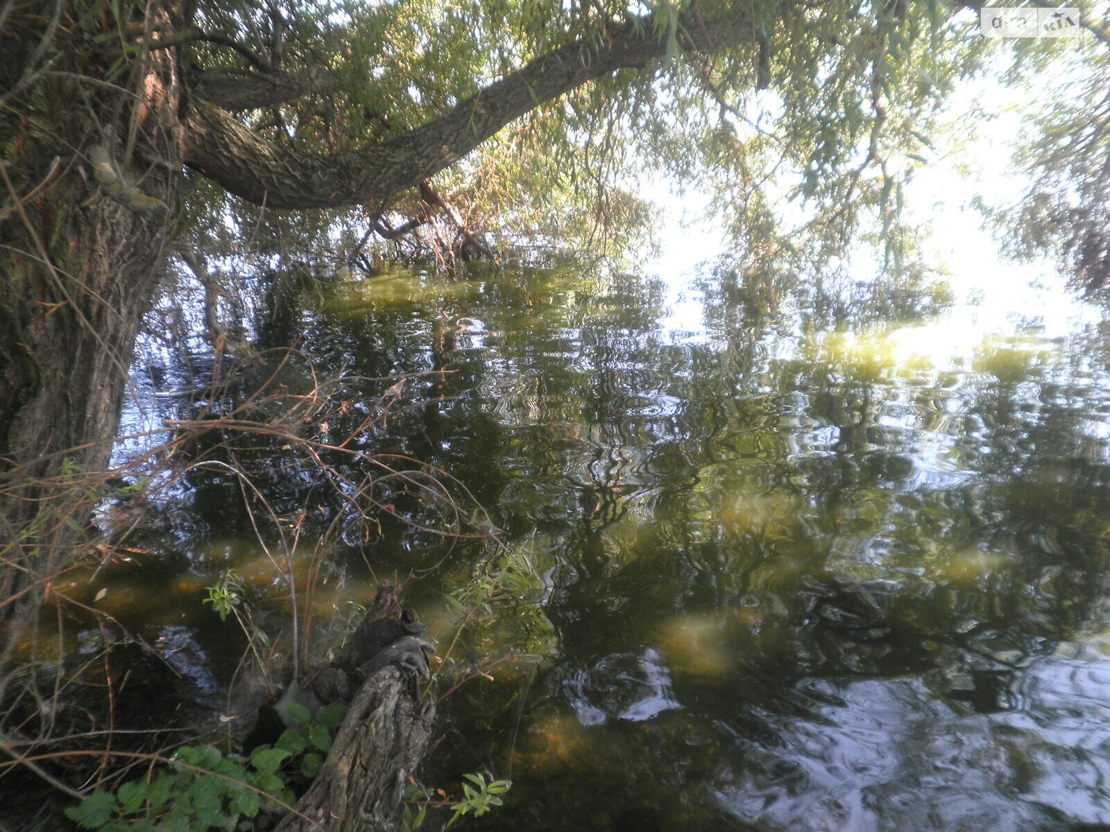 Земельный участок под жилую застройку в Горбасове, площадь 30.36 сотки фото 1 Земельный участок под жилую застройку в Горбасове, площадь 30.36 сотки фото 1