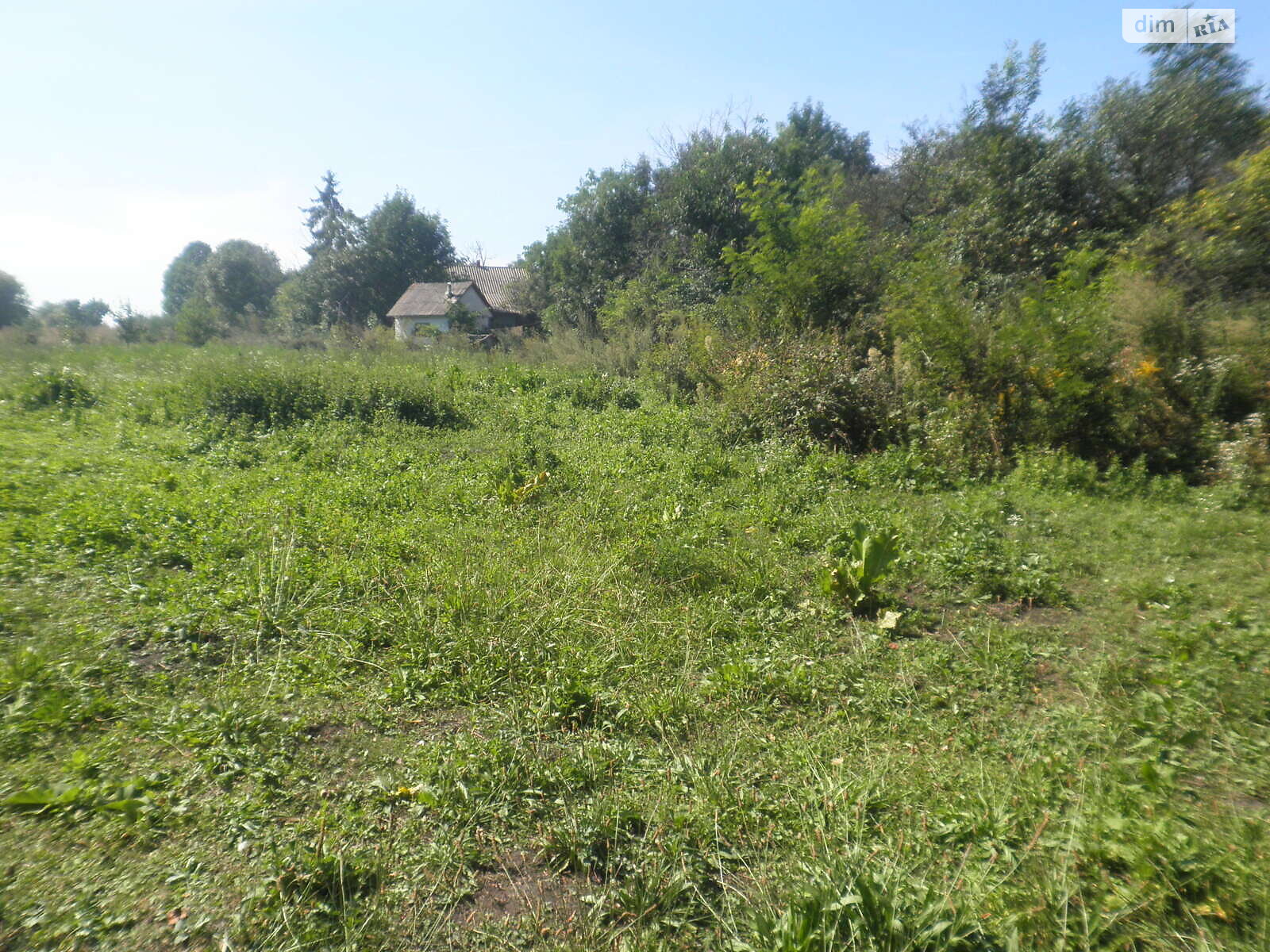 Земельный участок под жилую застройку в Горбасове, площадь 30.36 сотки фото 1 Земельный участок под жилую застройку в Горбасове, площадь 30.36 сотки фото 1