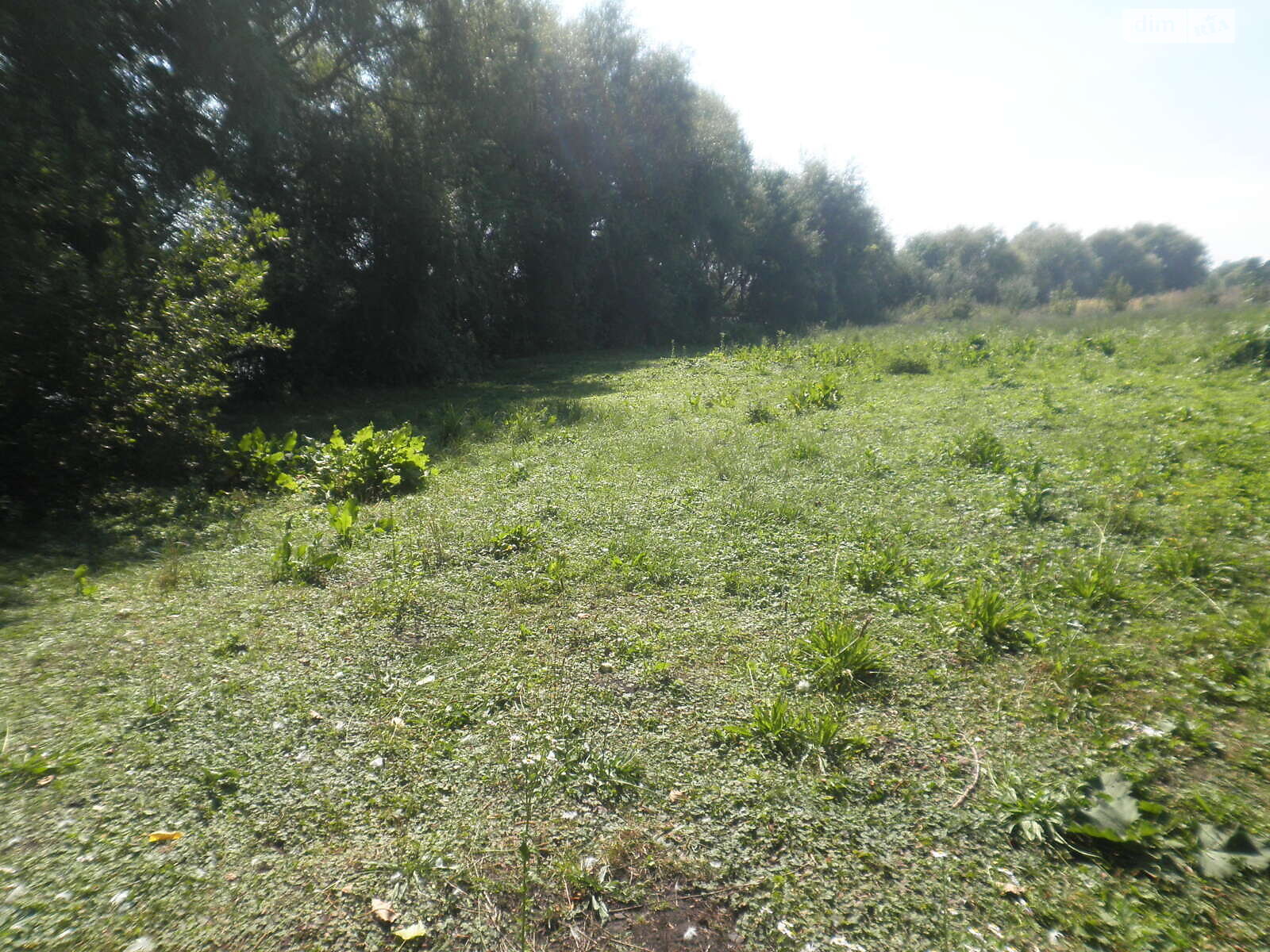 Земельный участок под жилую застройку в Горбасове, площадь 30.36 сотки фото 1 Земельный участок под жилую застройку в Горбасове, площадь 30.36 сотки фото 1