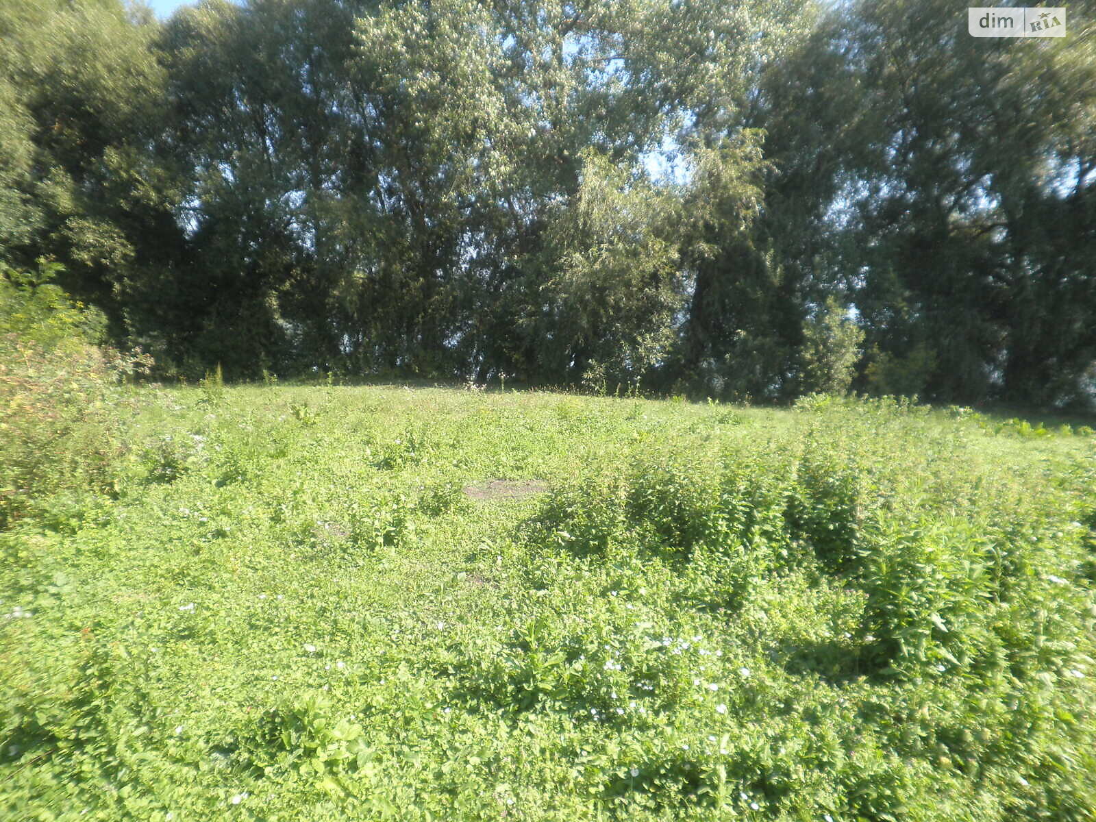 Земельный участок под жилую застройку в Горбасове, площадь 30.36 сотки фото 1 Земельный участок под жилую застройку в Горбасове, площадь 30.36 сотки фото 1