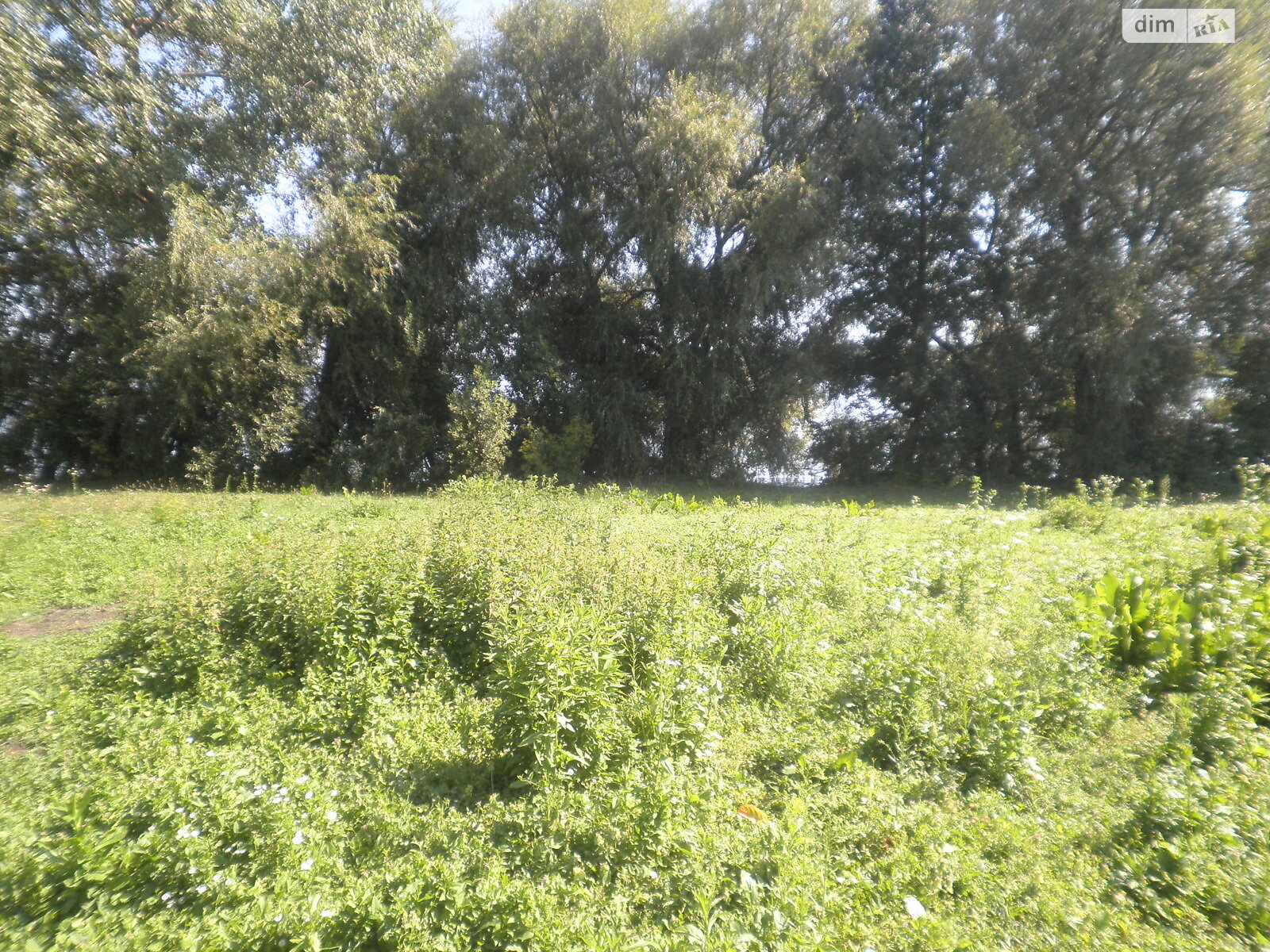 Земельный участок под жилую застройку в Горбасове, площадь 30.36 сотки фото 1 Земельный участок под жилую застройку в Горбасове, площадь 30.36 сотки фото 1