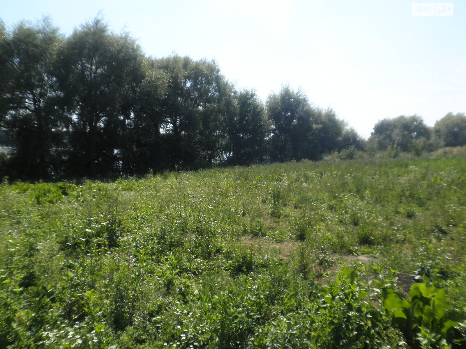 Земельный участок под жилую застройку в Горбасове, площадь 30.36 сотки фото 1 Земельный участок под жилую застройку в Горбасове, площадь 30.36 сотки фото 1