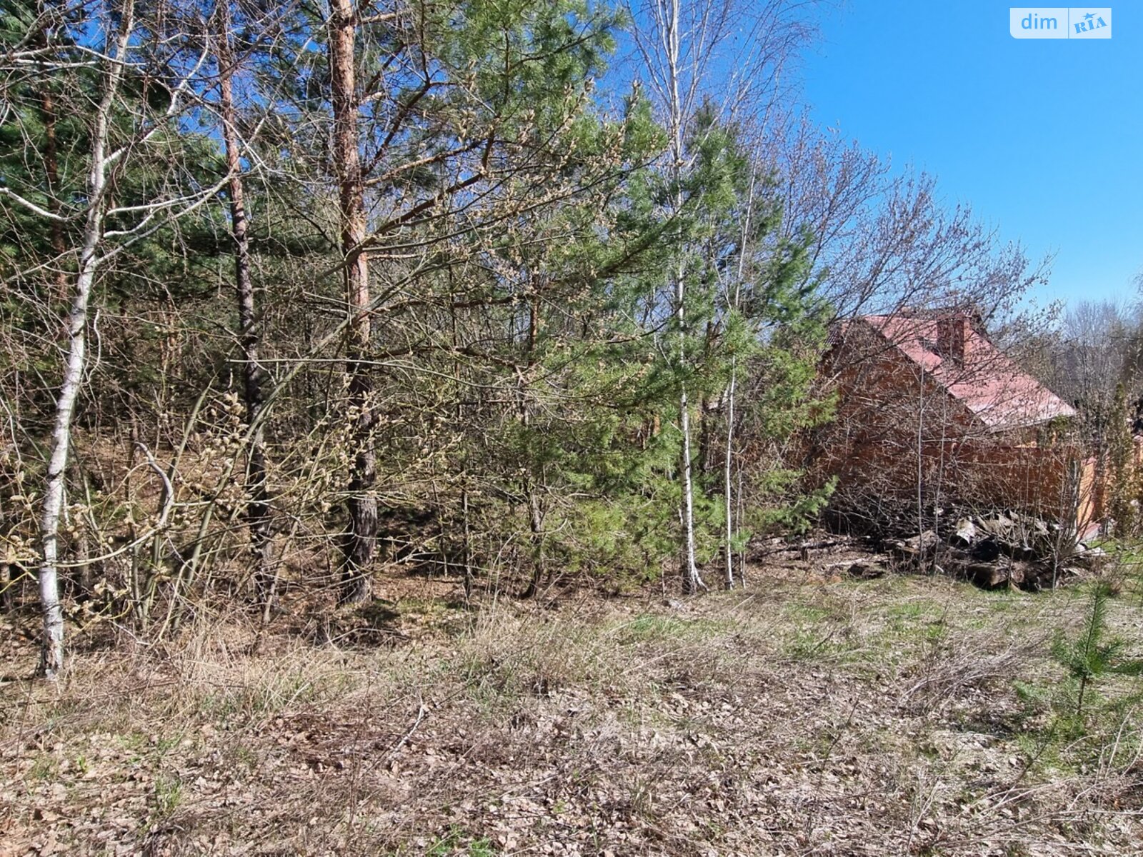 Земельна ділянка під житлову забудову в Гореничах, площа 11.5 сотки фото 1 Земельна ділянка під житлову забудову в Гореничах, площа 11.5 сотки фото 1