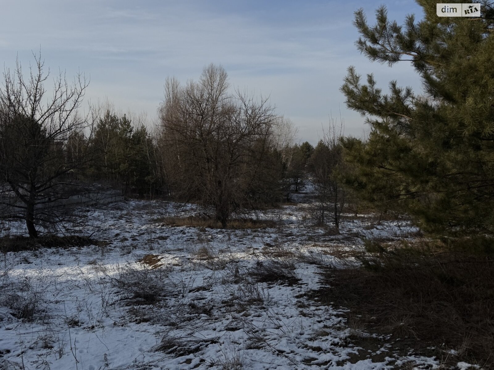 Земельна ділянка під житлову забудову в Гореничах, площа 10 соток фото 1