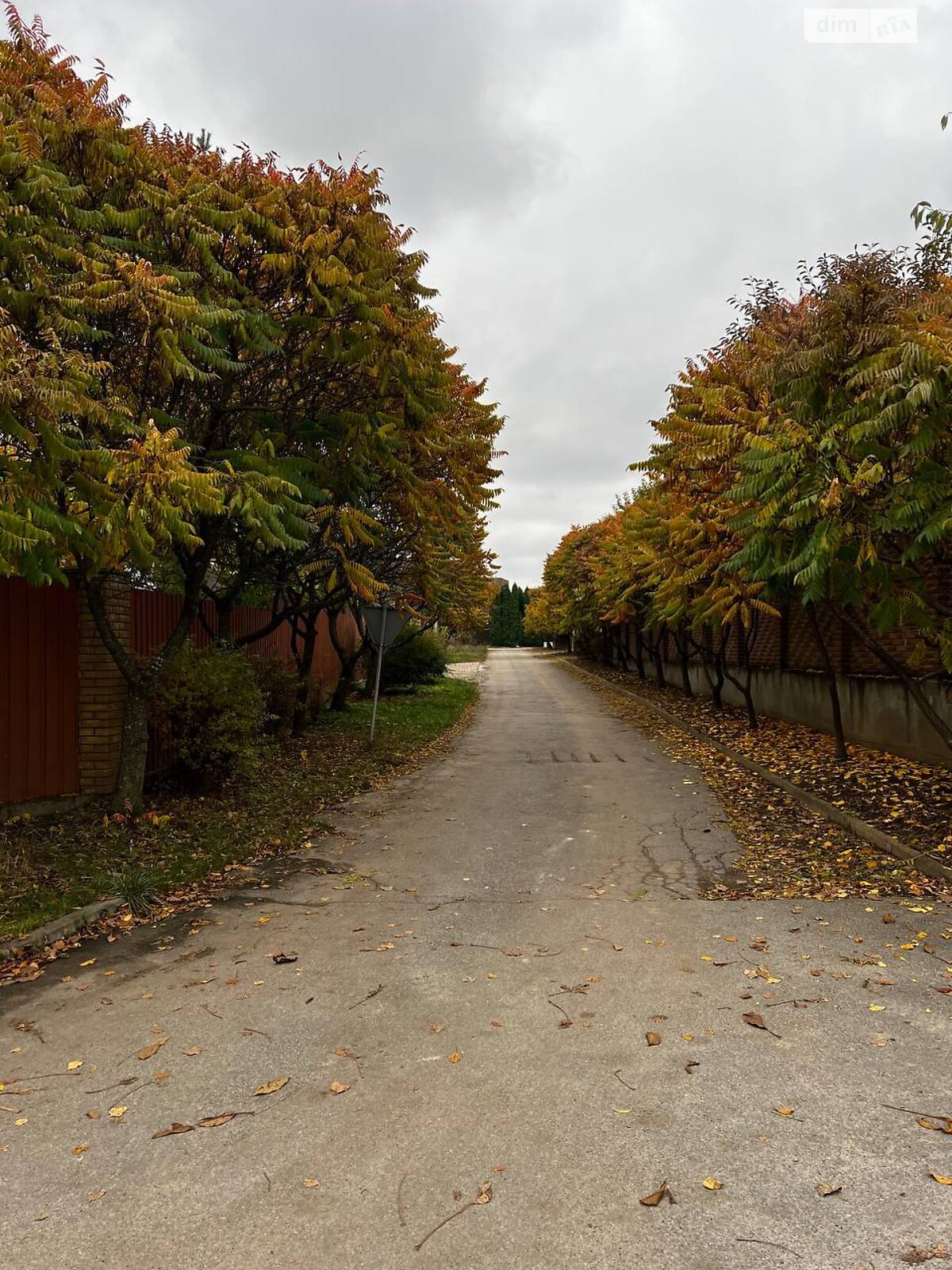 Земельный участок под жилую застройку в Гореничах, площадь 10 соток фото 1 Земельный участок под жилую застройку в Гореничах, площадь 10 соток фото 1