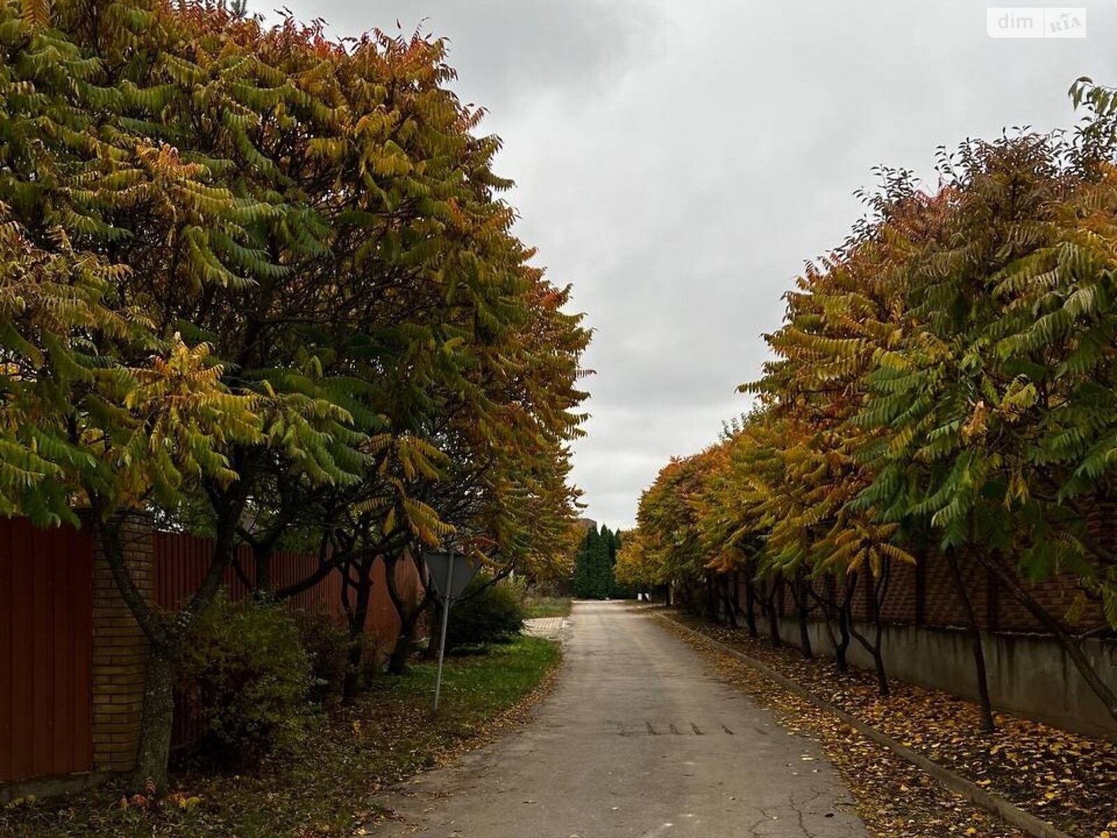 Земельный участок под жилую застройку в Гореничах, площадь 10 соток фото 1 Земельный участок под жилую застройку в Гореничах, площадь 10 соток фото 1