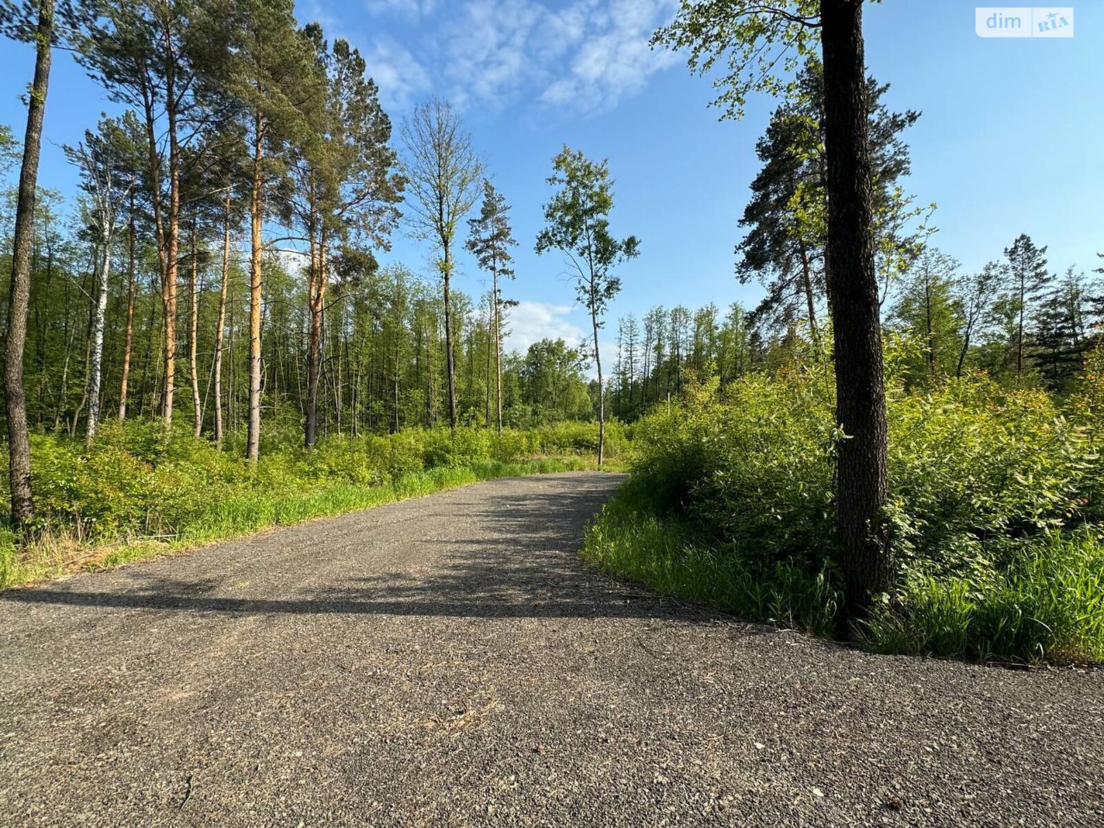 Земельна ділянка під житлову забудову в Гореничах, площа 54 сотки фото 1 Земельна ділянка під житлову забудову в Гореничах, площа 54 сотки фото 1