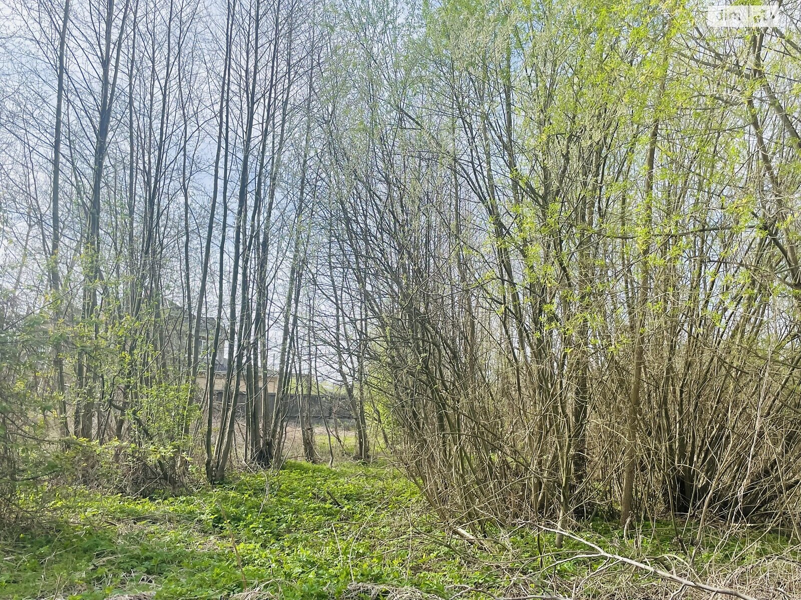 Земельный участок под жилую застройку в Горенке, площадь 20 соток фото 1 Земельный участок под жилую застройку в Горенке, площадь 20 соток фото 1